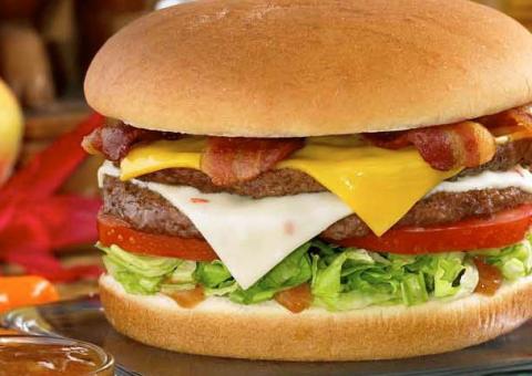 Sonic Island Fire Burger